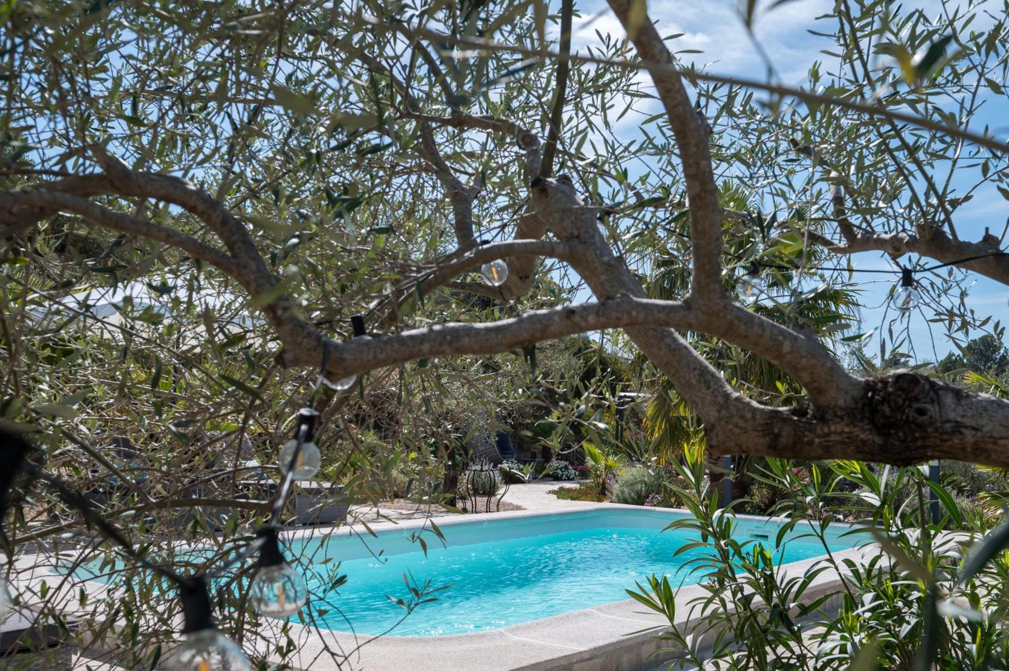 Casa De Olivos - Unique Apartments - Adult Only Traiguera Kültér fotó